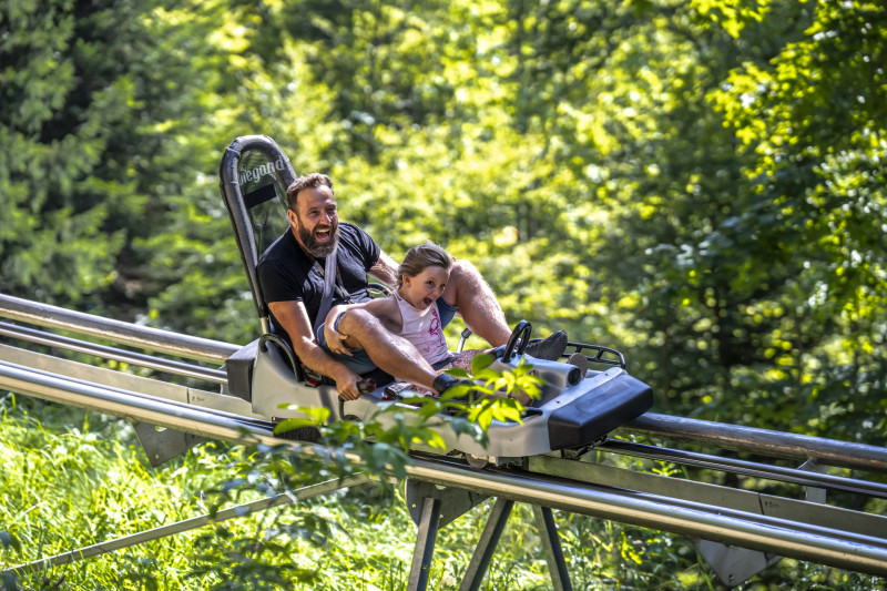 Alpine coaster Summer