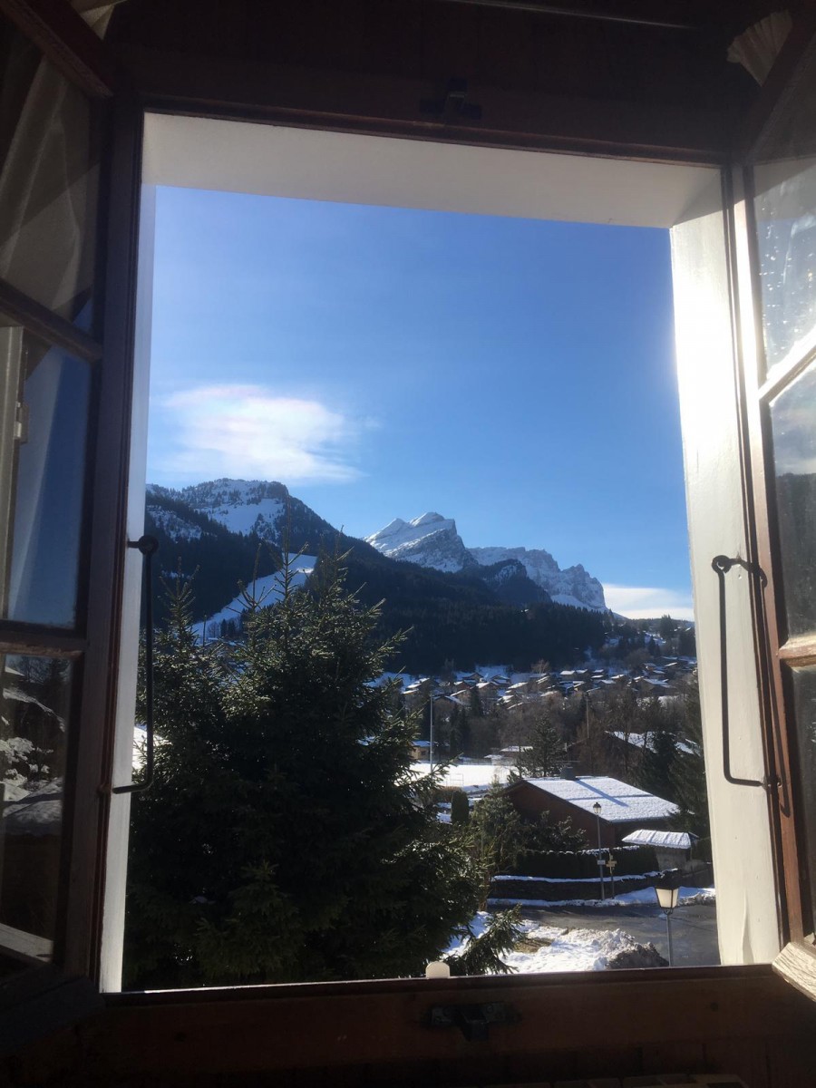 10-vue-montagne-de-la-salle-de-sejour-6026349