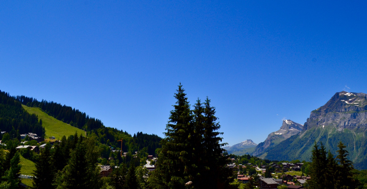 11-chalet-adret-ete-vue-panoramique-2-6965730