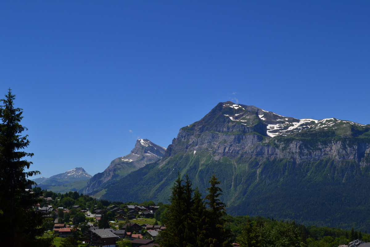 12-chalet-adret-ete-vue-sur-chaine-des-aravis-6965731