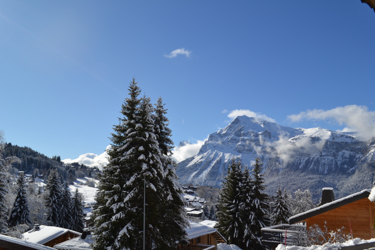 12-chalet-adret-vue-telecabine-bis-6965752