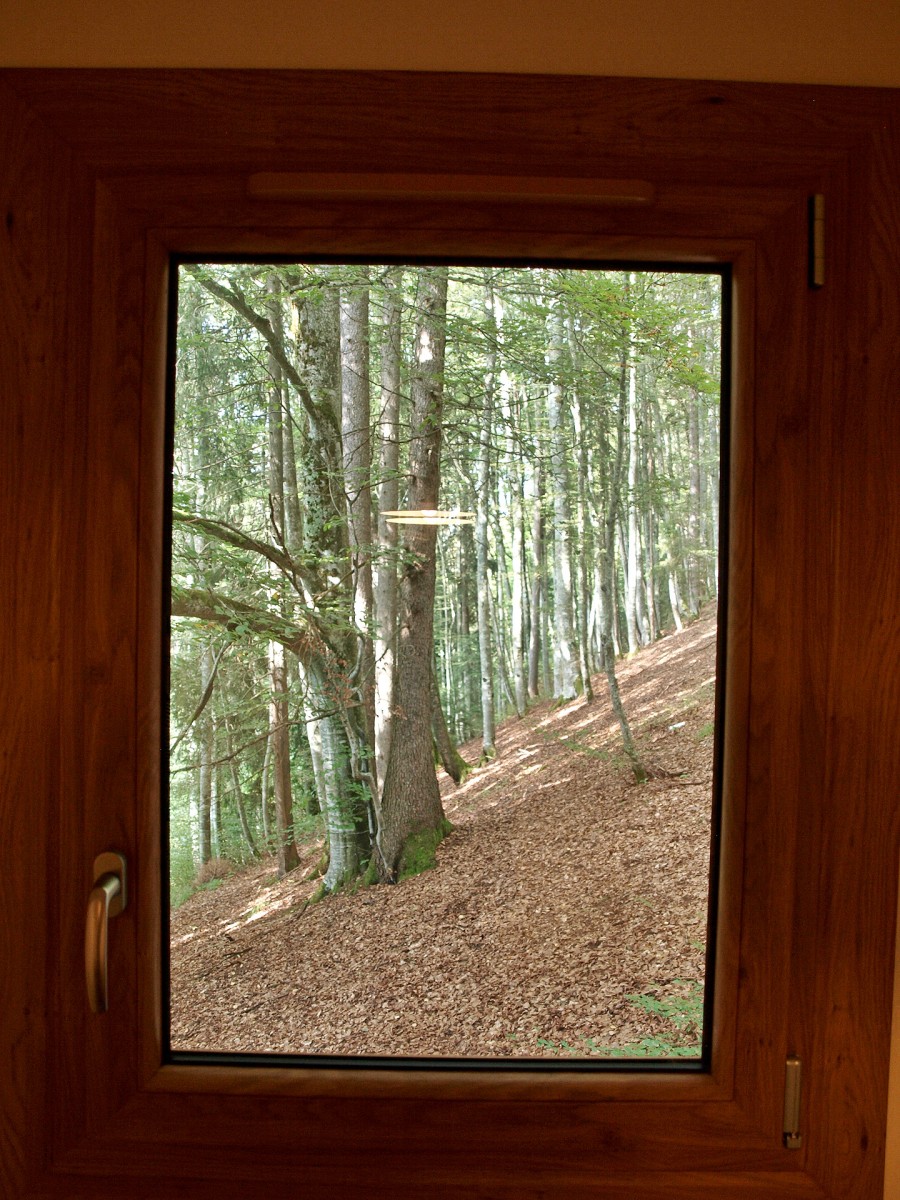 Vue bois sur l'arrière