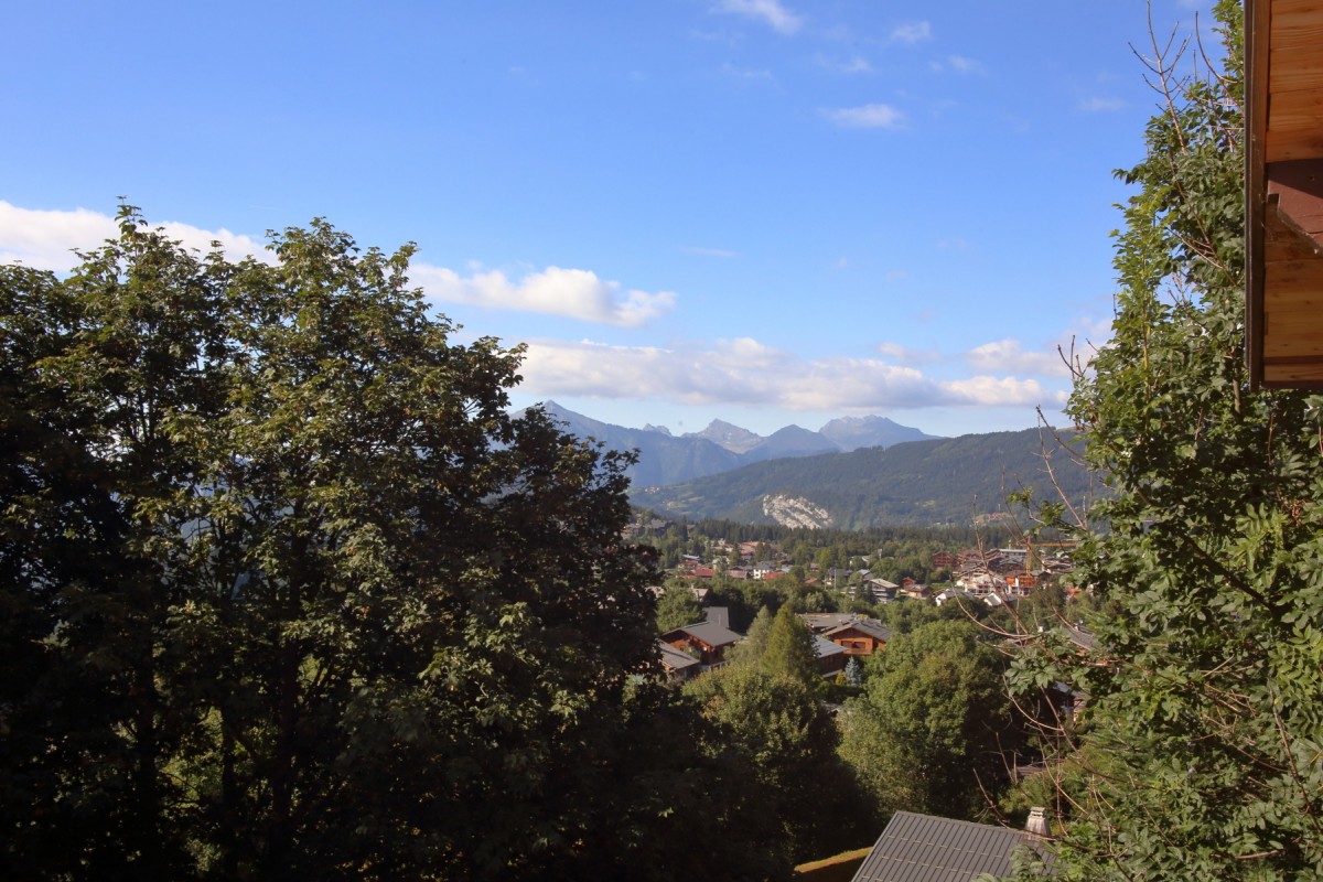CH3CA - Vue