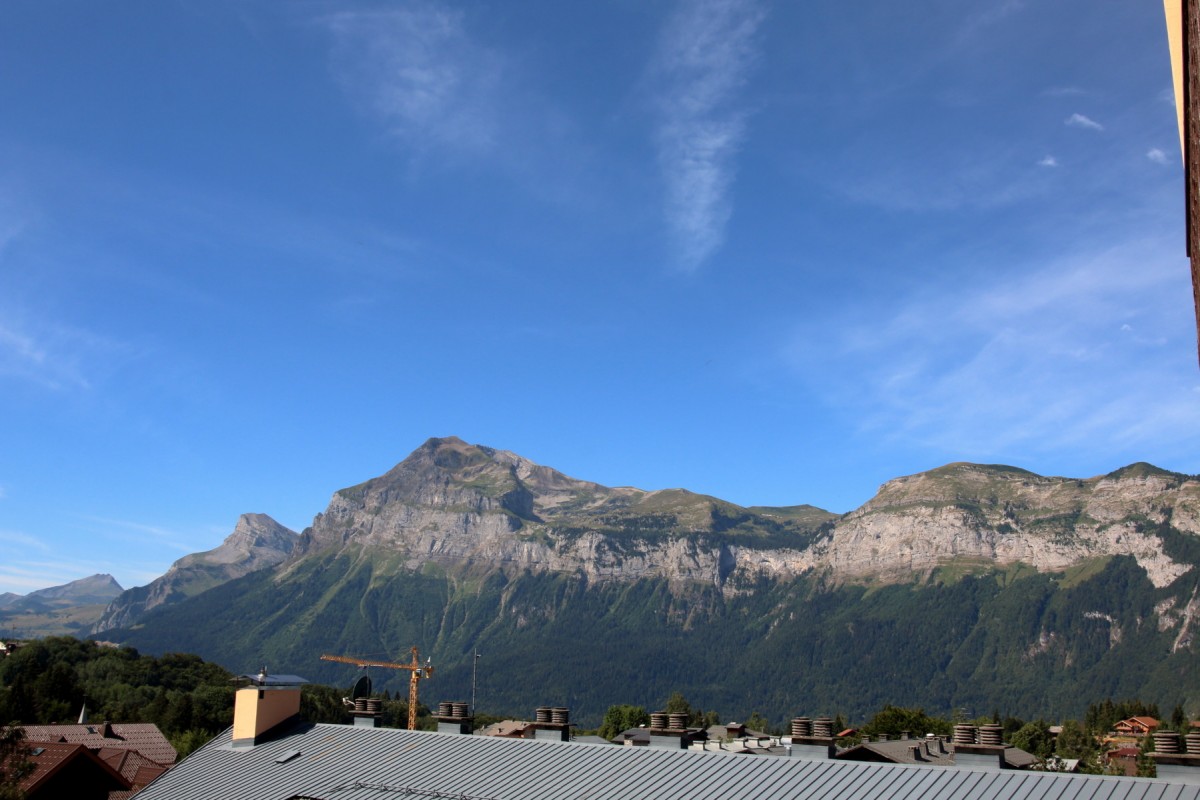 Vue