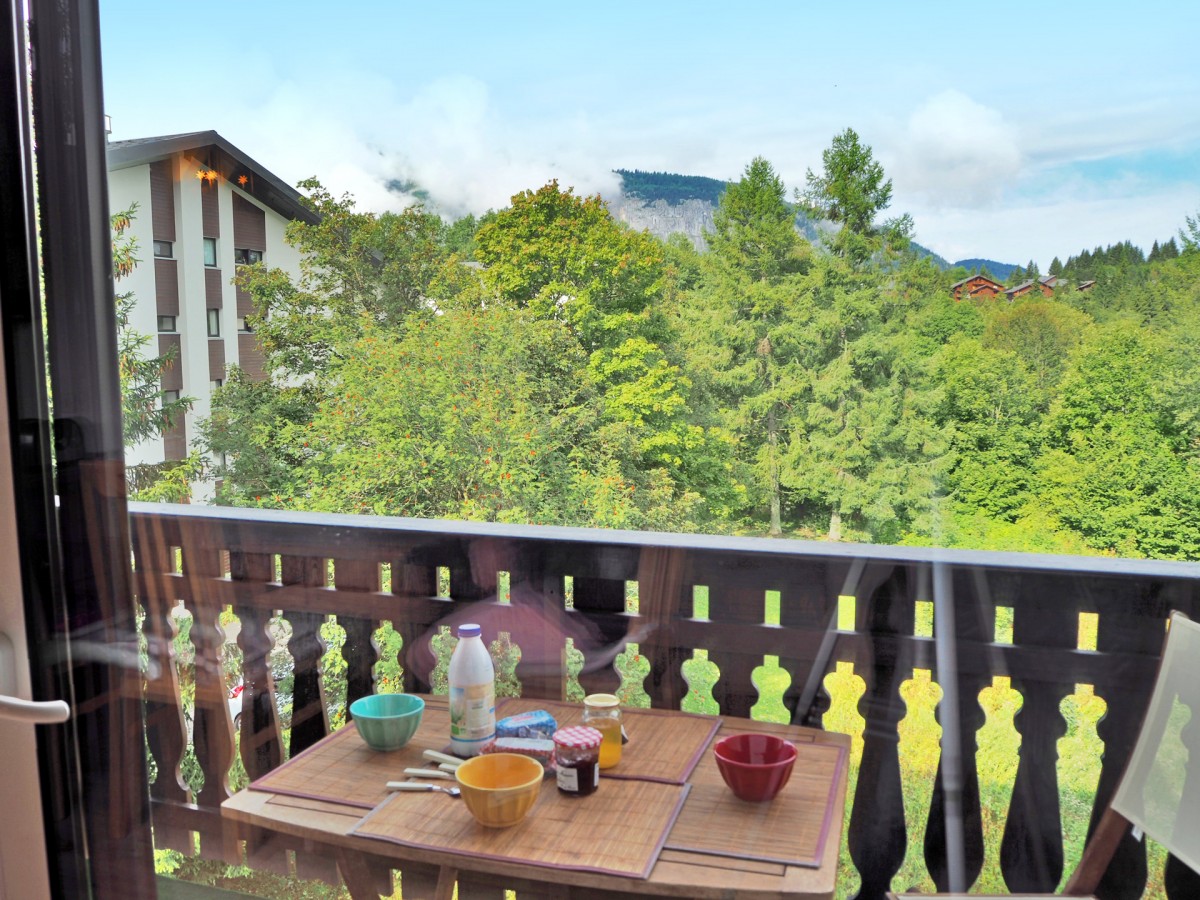 Vue du balcon