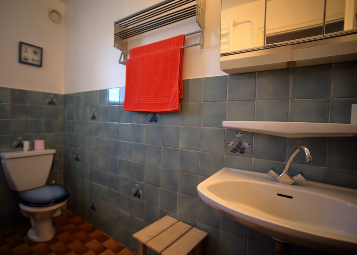 Salle de bains/wc