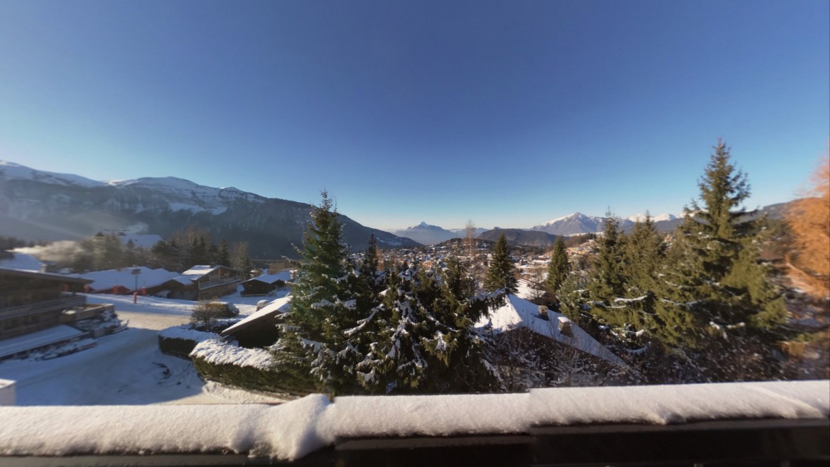 plart_balcon_extracted-picture (2)