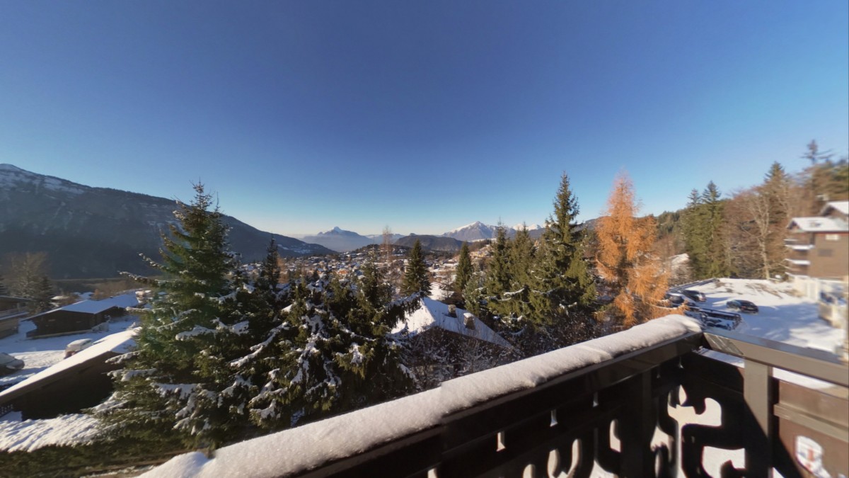 plart_balcon_extracted-picture