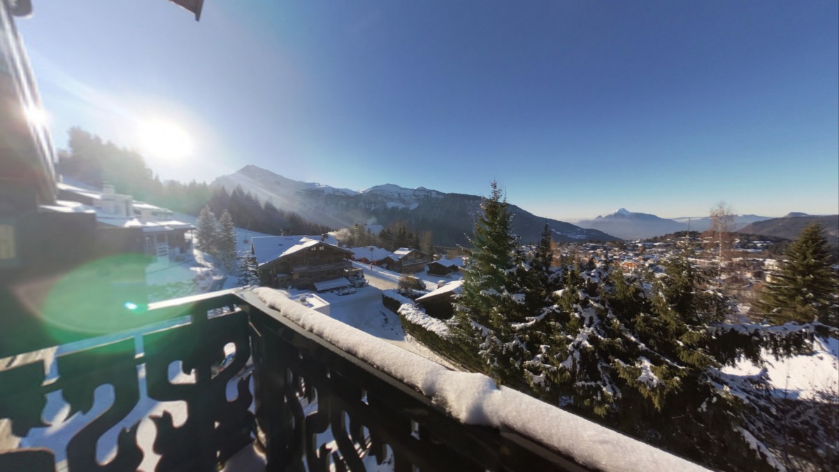 plart_balcon_extracted-picture (1)