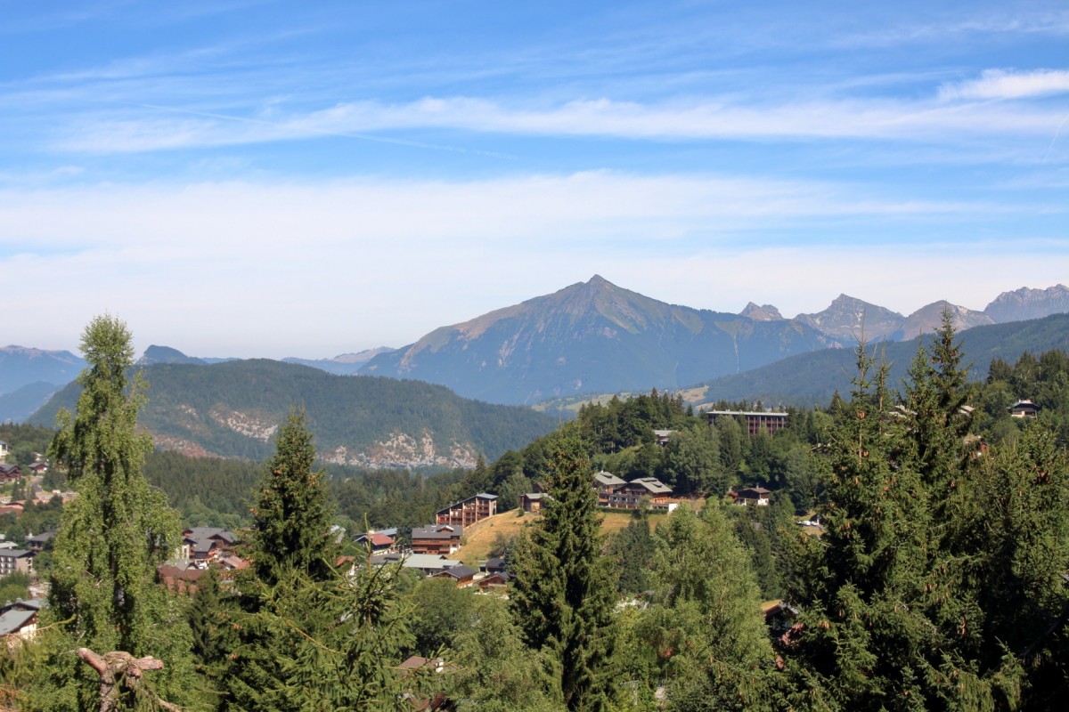 Vue montagne