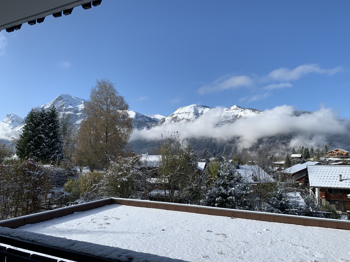 Vue balcon ouest