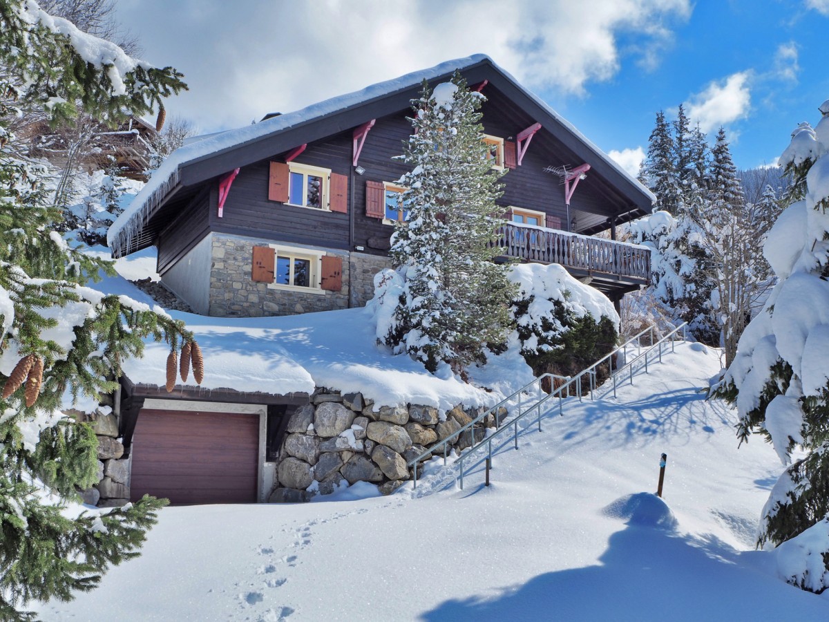Vue extérieure du chalet