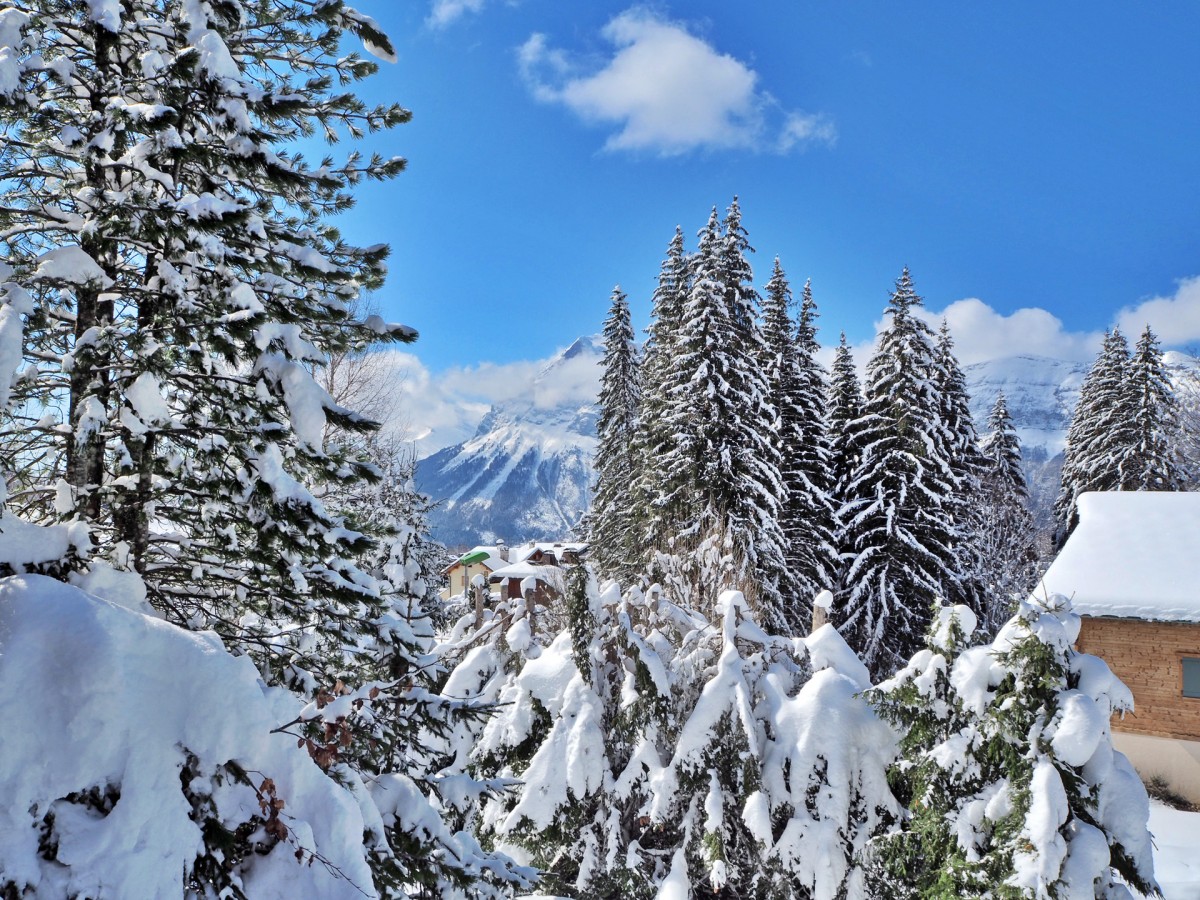 Vue depuis le chalet