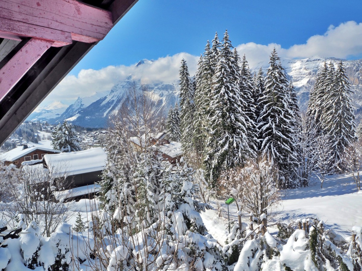 Vue depuis le chalet