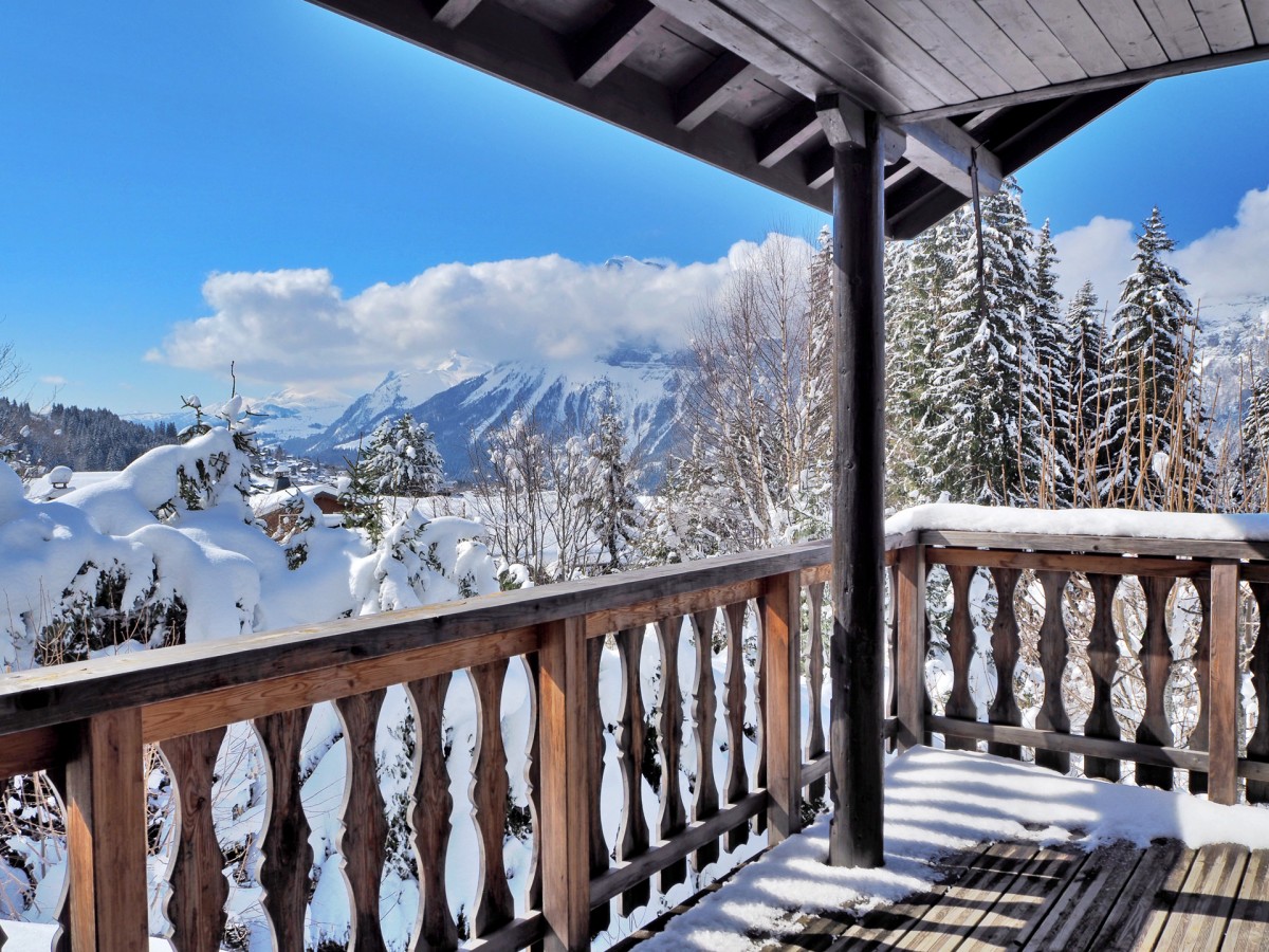 Vue depuis le chalet