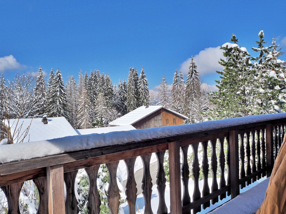 Vue depuis le chalet