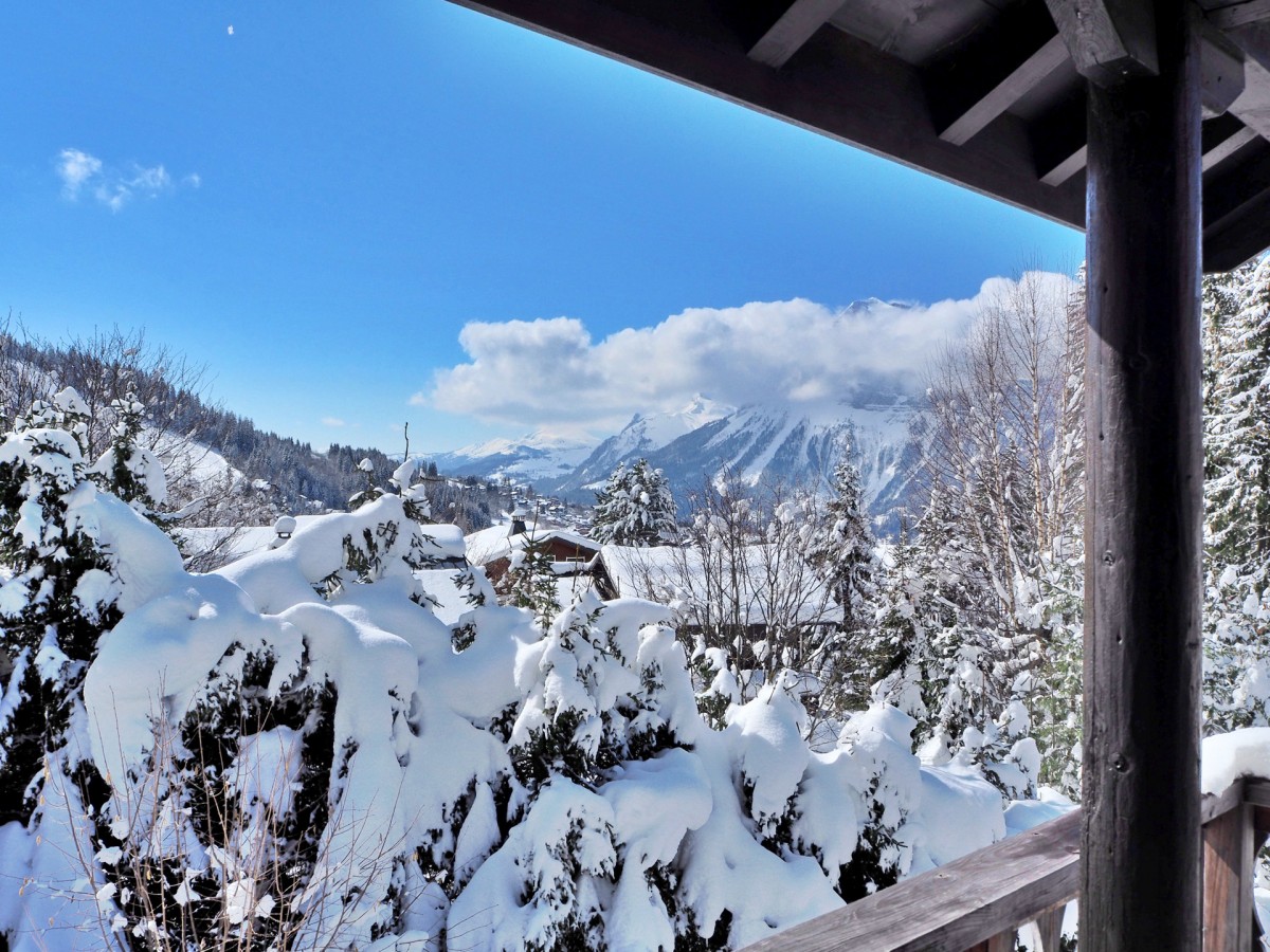 Vue depuis le chalet