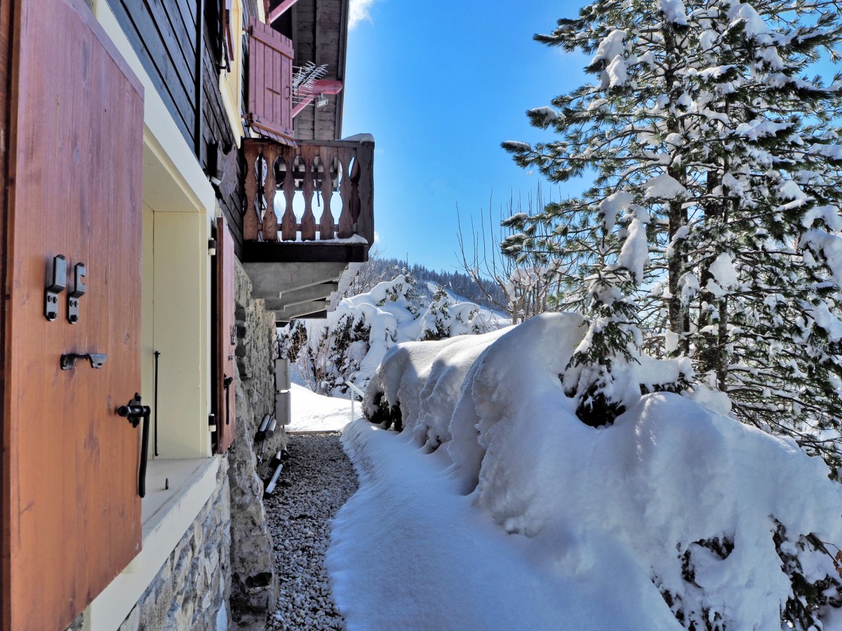 Arrière du chalet