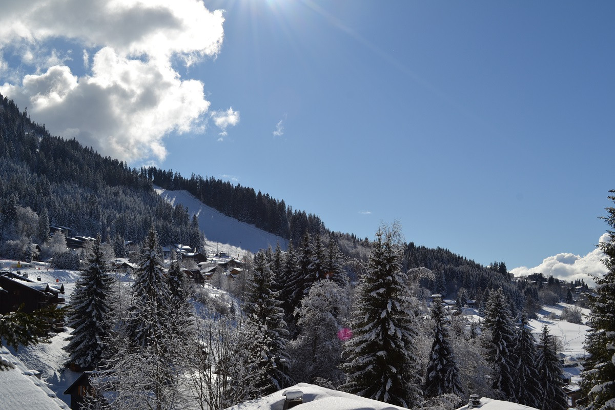 17-chalet-adret-es-carroz-vue-piste-timalet-6965755