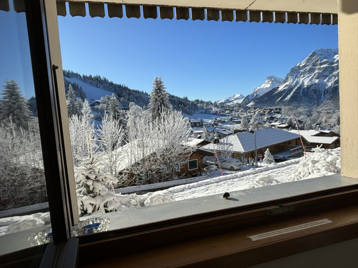 2-chalet-adret-les-marmottes-vues-6965739