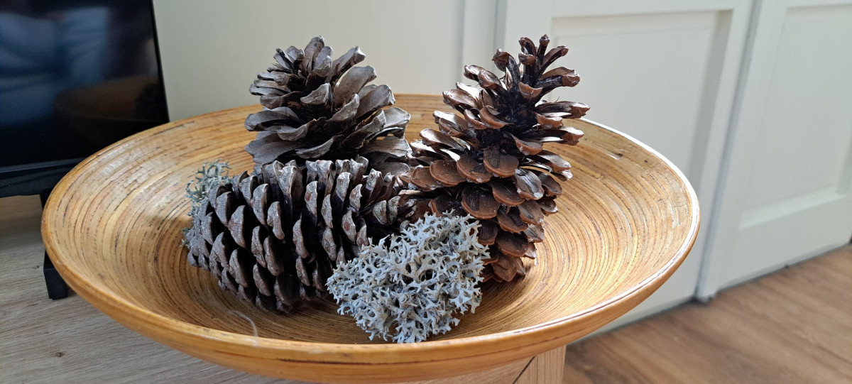 20251221-153008-8725705