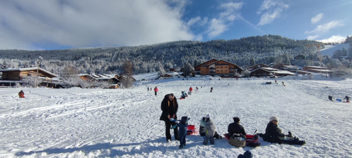 3e721645-f223-44ea-82e7-a9cb4b68aa75-8754674