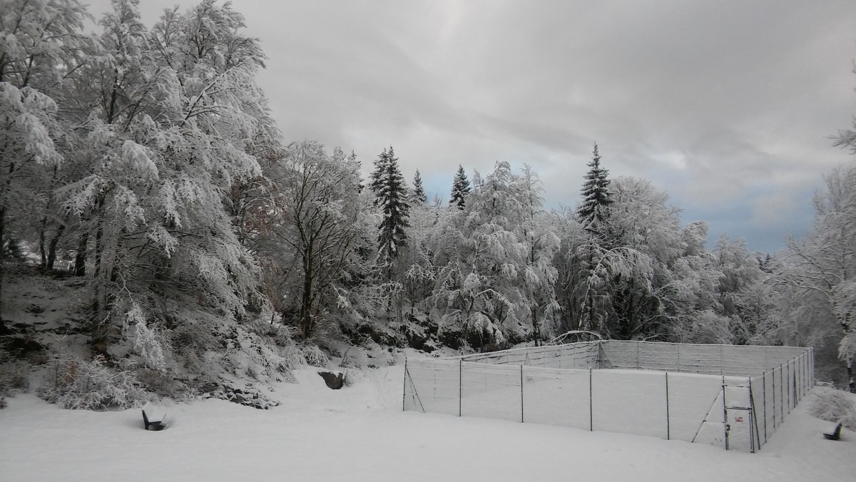 20180318_073530.jpg