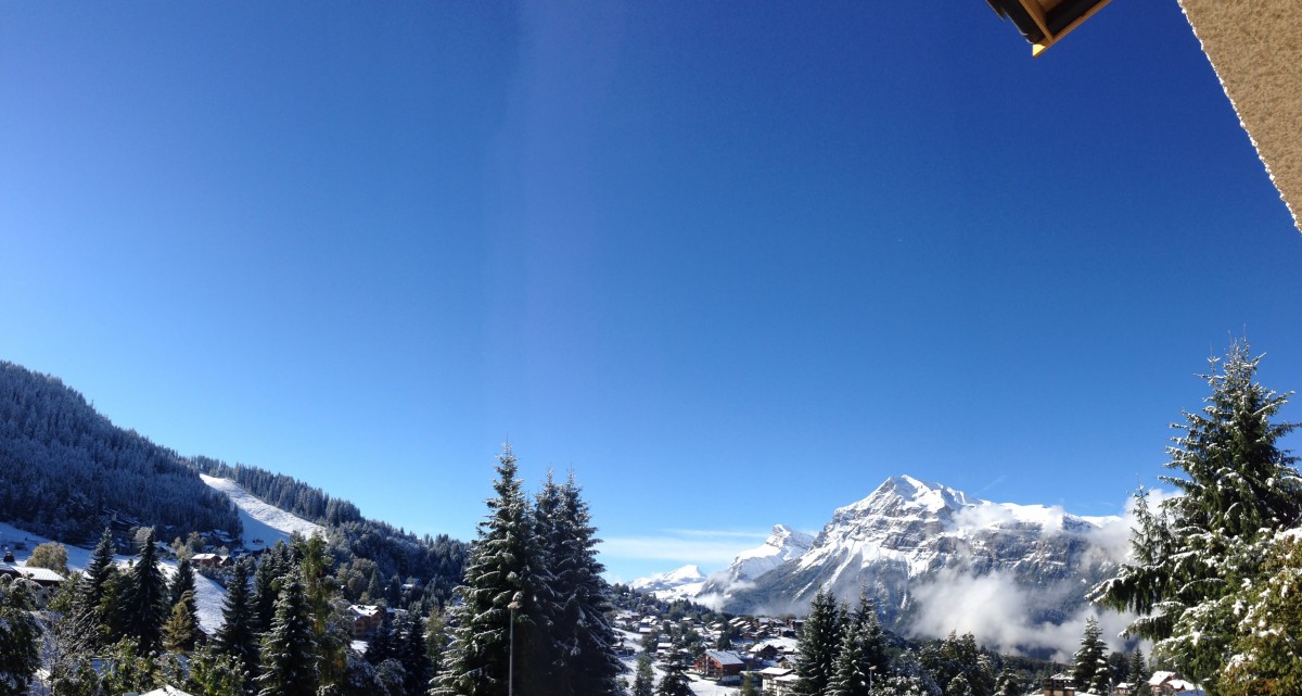 Vue depuis l'appartement
