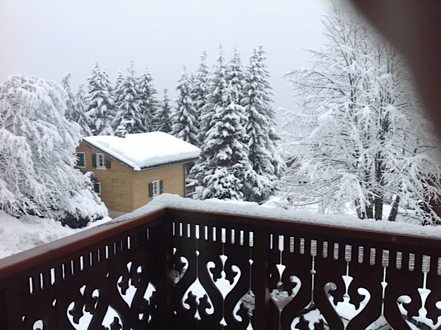 vue_balcon_hiver2.png