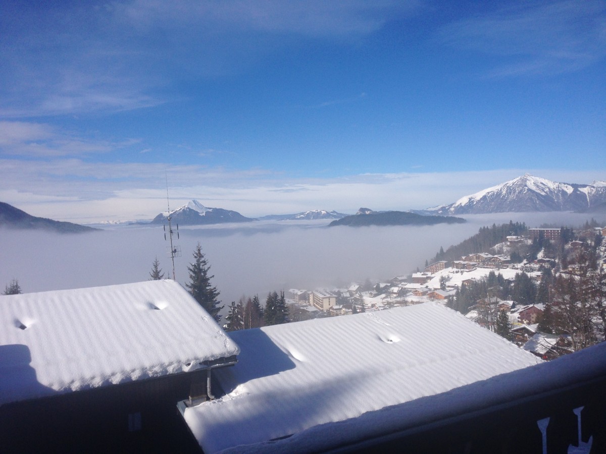 vue de la terrasse