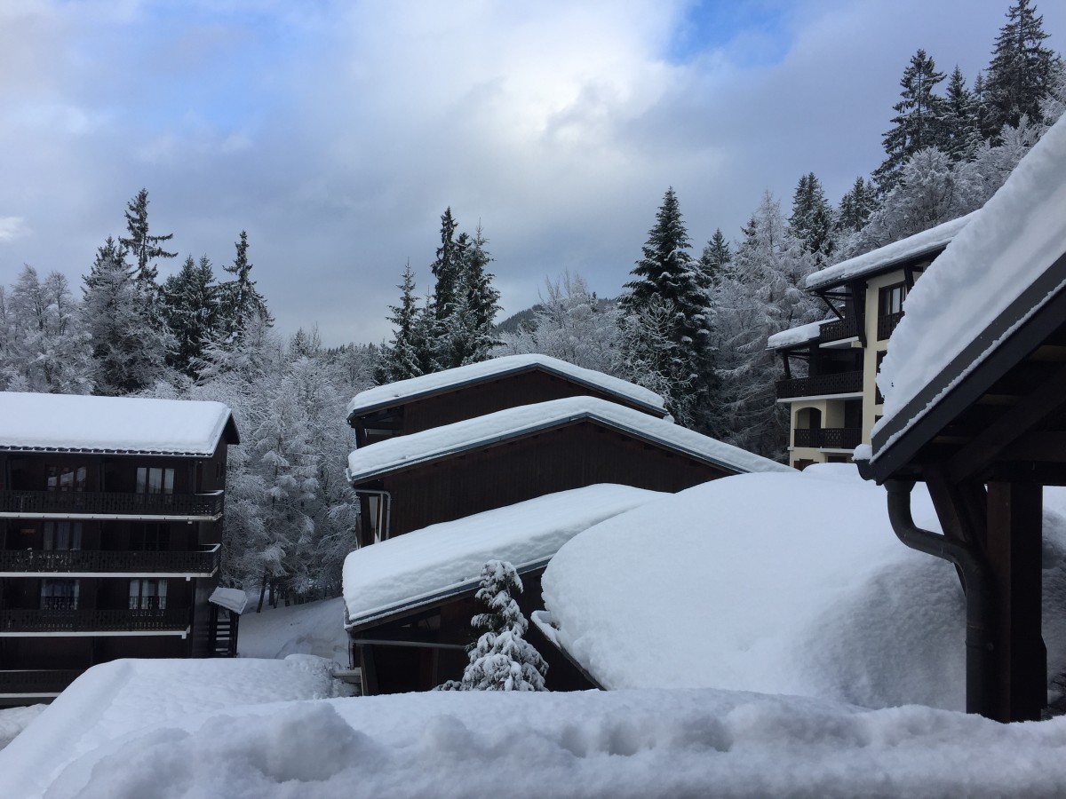 Vue d'hiver