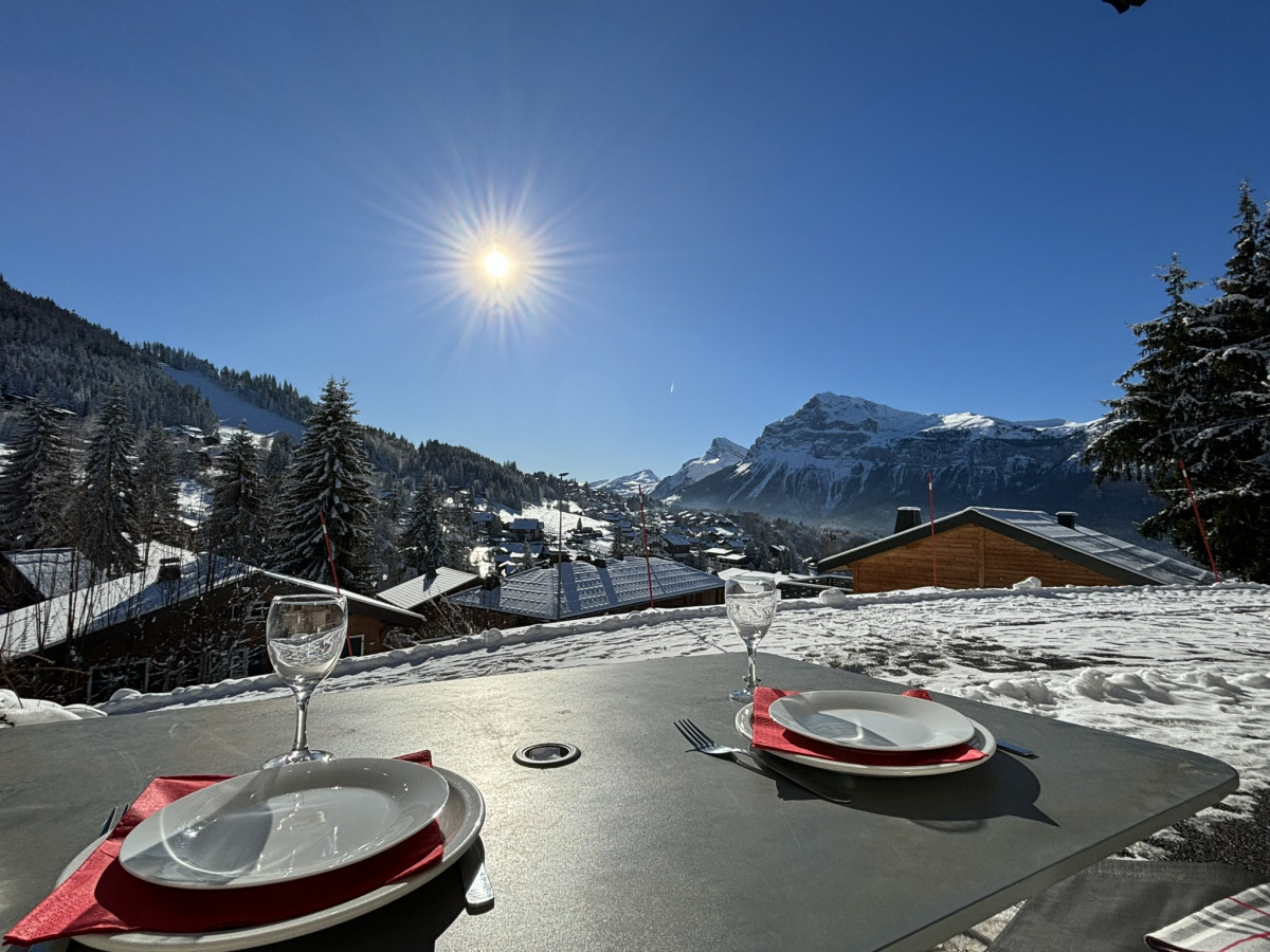 9-chalet-adret-le-chamois-6965726