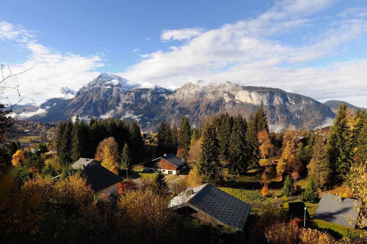 _clients_227430004_photos_125k_8847553 _clients_227430004_photos_125k_8847553