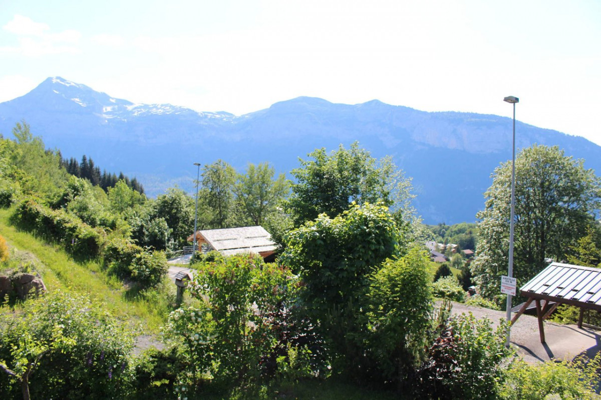 _clients_227430004_photos_154l_8705226 _clients_227430004_photos_154l_8705226