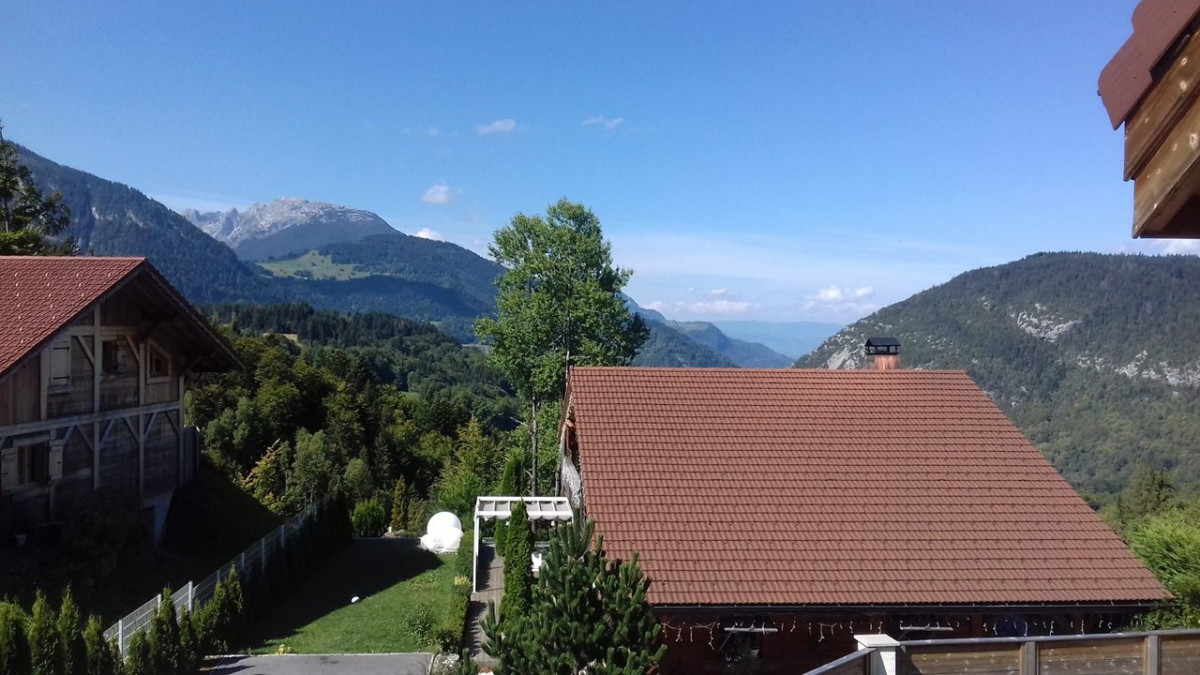 _clients_227430004_photos_158i_8638323 _clients_227430004_photos_158i_8638323