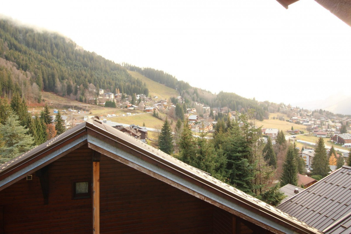 _clients_227430004_photos_161i_8651215