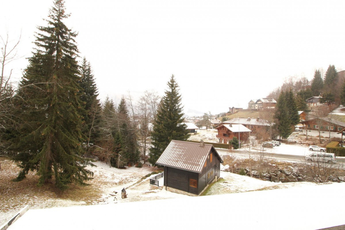 _clients_227430004_photos_164h_8739630