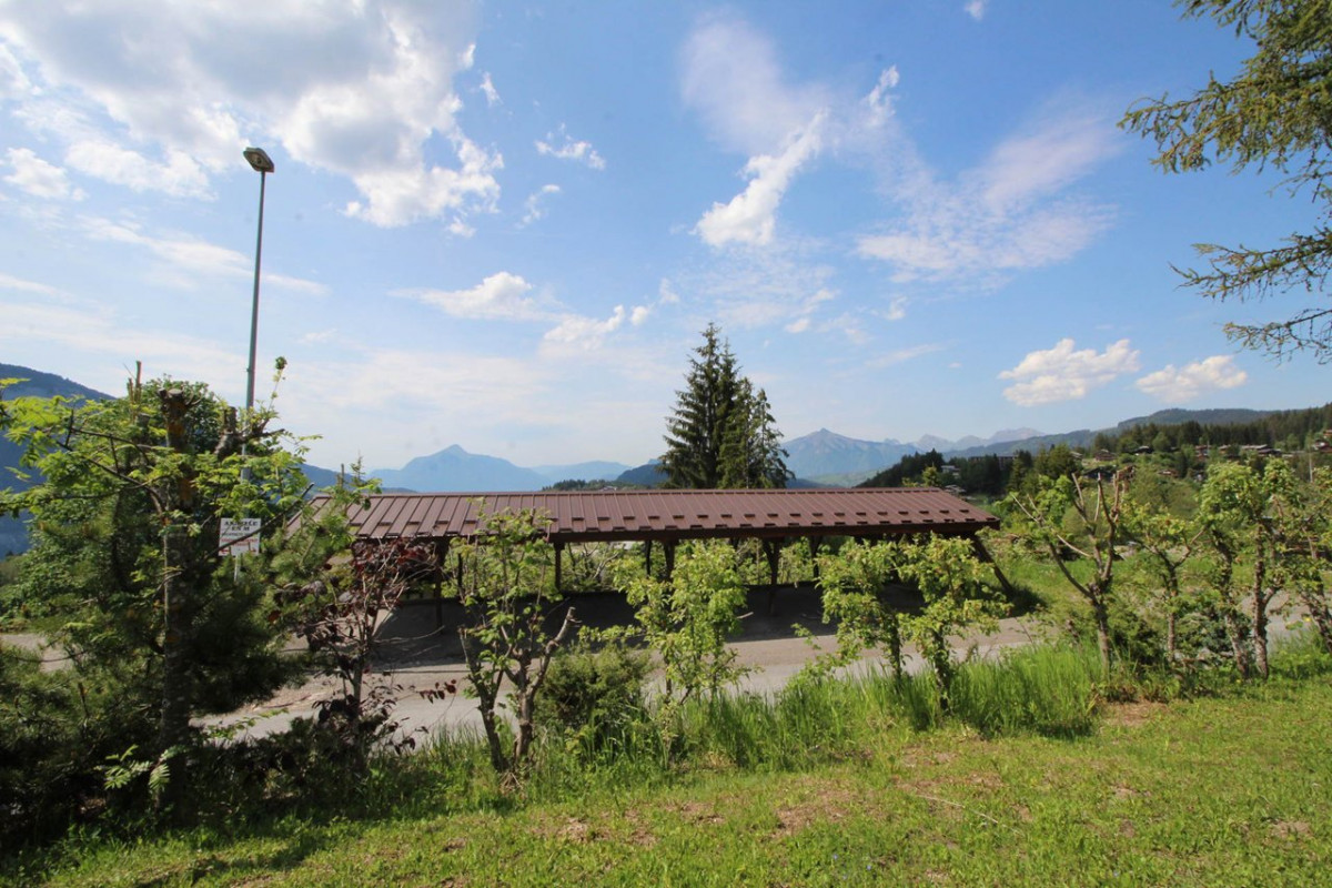 _clients_227430004_photos_171k_8759813