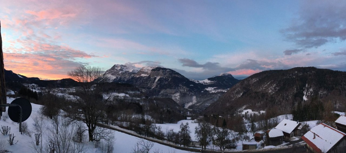 _clients_227430004_photos_203t_8592476