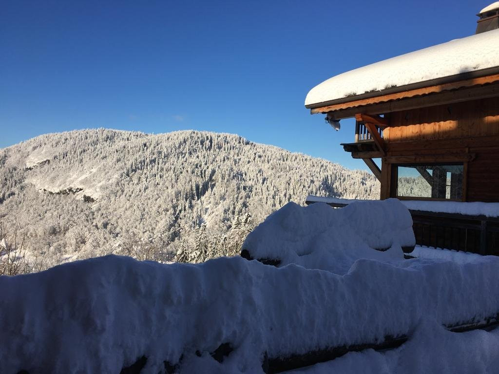 _clients_227430004_photos_203u_8649136