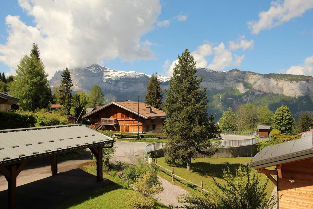 _clients_227430004_photos_21g_8915038