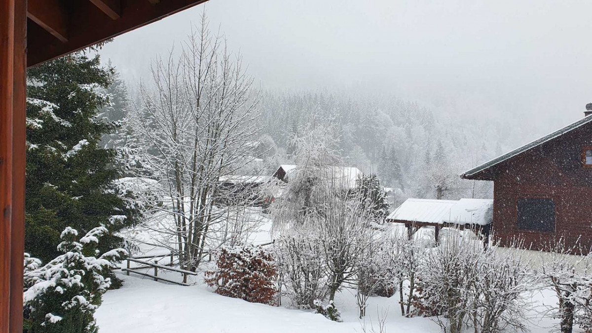 _clients_227430004_photos_222i_8651810 _clients_227430004_photos_222i_8651810