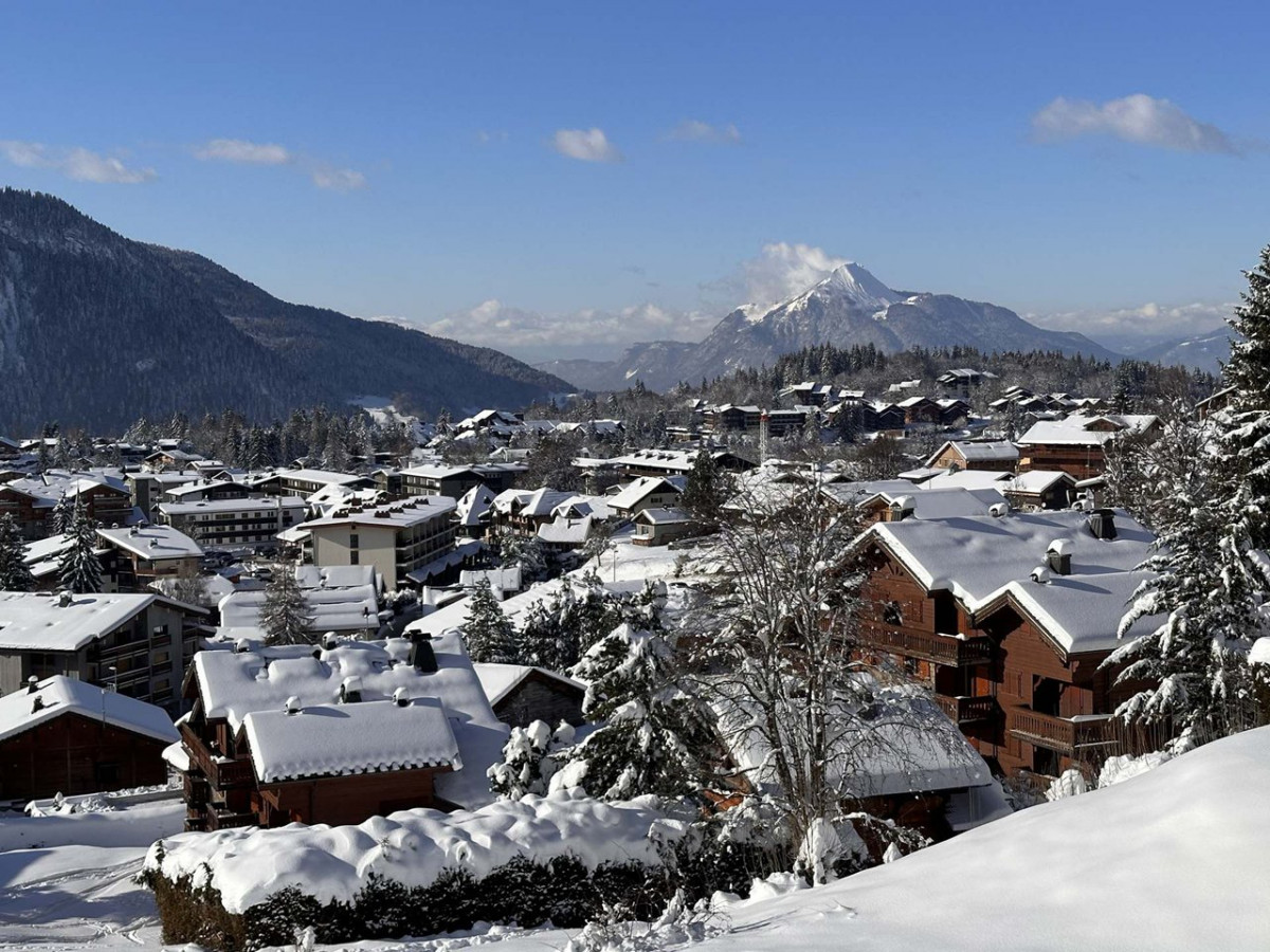 _clients_227430004_photos_225l_8861183