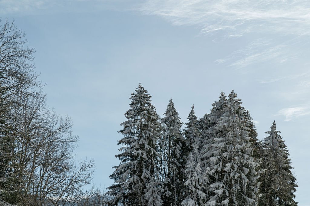 _clients_227430004_photos_243f_8782596