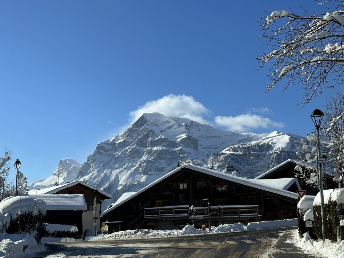 _clients_227430004_photos_249p_8921721 _clients_227430004_photos_249p_8921721