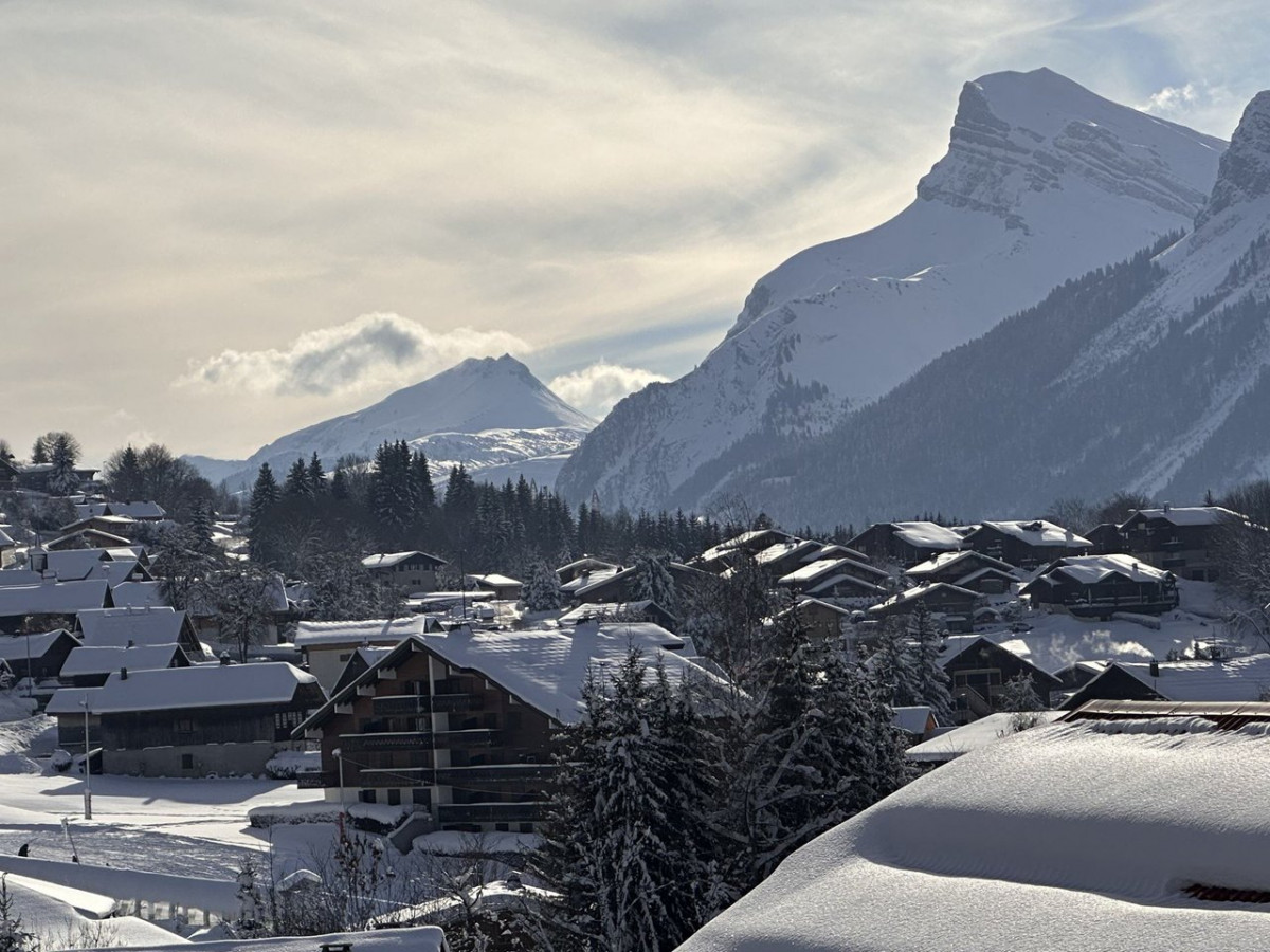 _clients_227430004_photos_253p_8867787