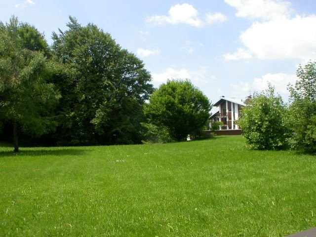 _clients_227430004_photos_48f_8642271