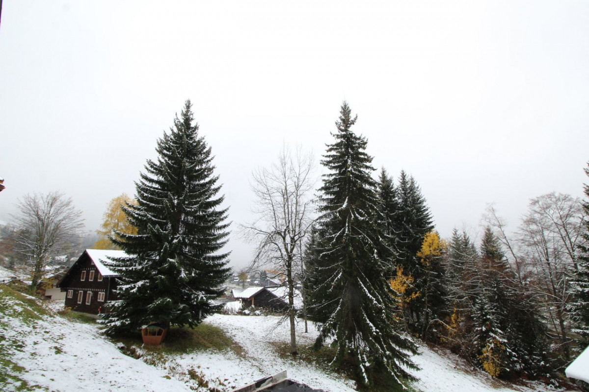 _clients_227430004_photos_59j_8678426 _clients_227430004_photos_59j_8678426