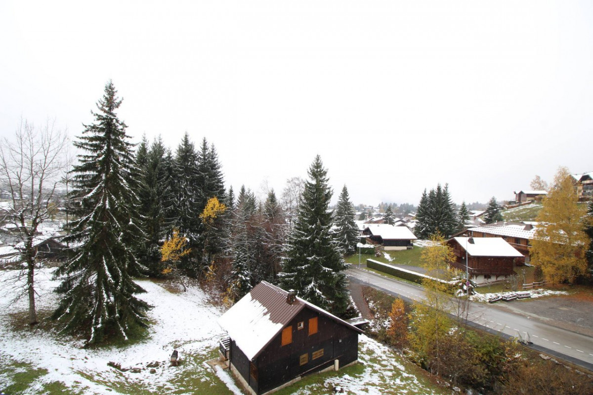 _clients_227430004_photos_62g_8792292