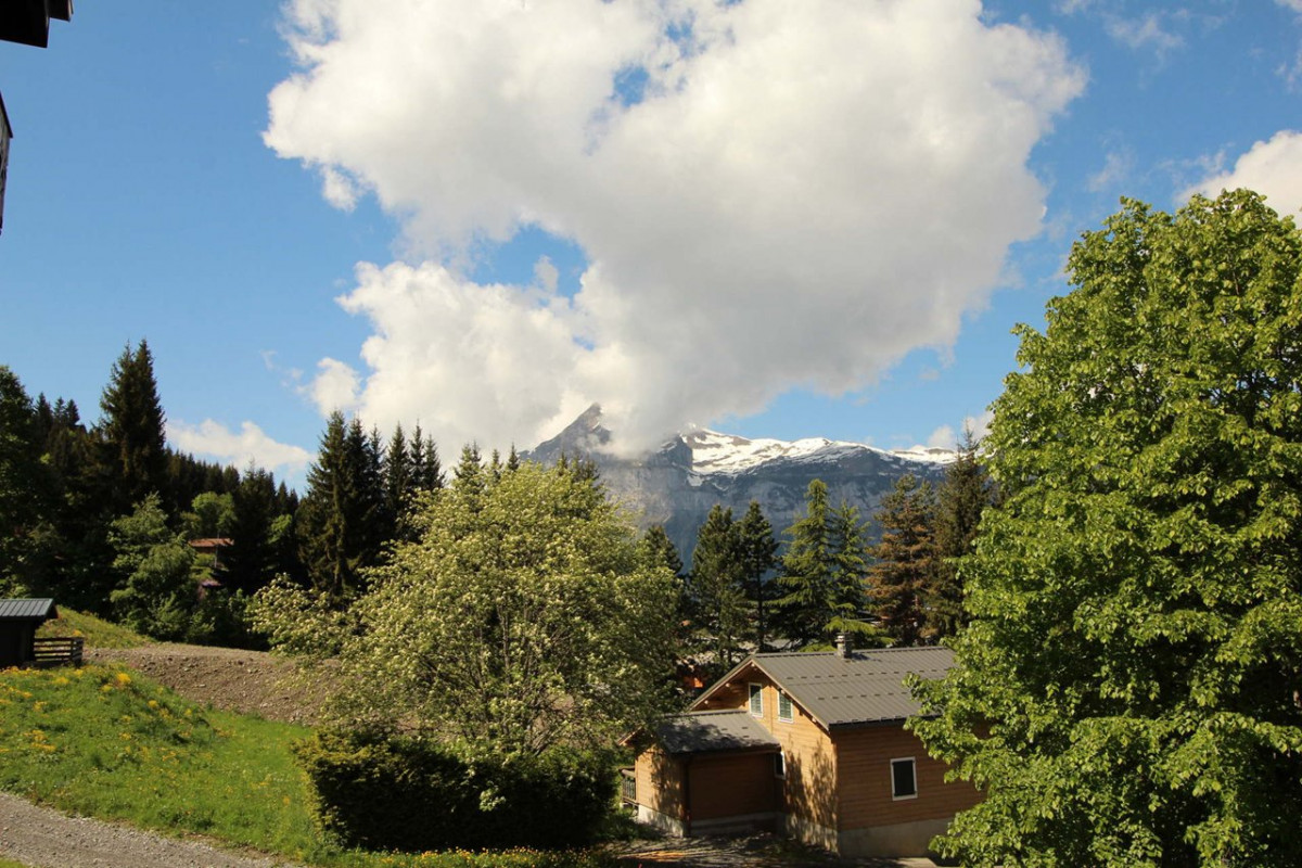 _clients_227430004_photos_66g_8570647